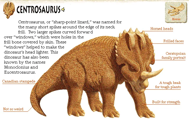 Centrosaurus