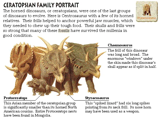 Ceratopsian Family Portrait