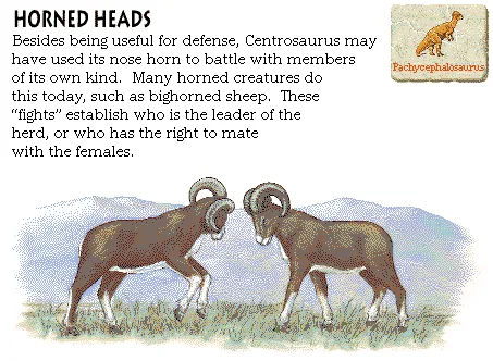 Horned Heads