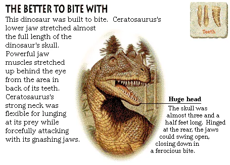 The Better to Bite With