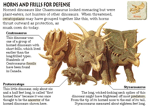 Horns and Frills for Defense