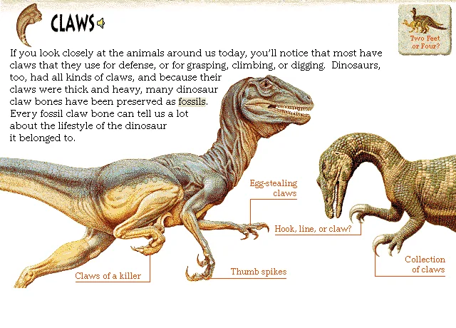 Claws