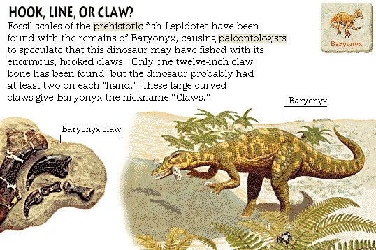 Hook, Line, or Claw?