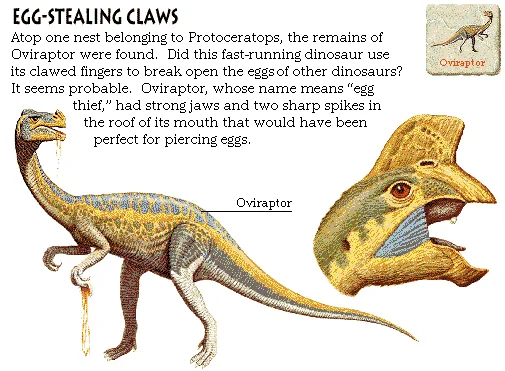 Egg-Stealing Claws