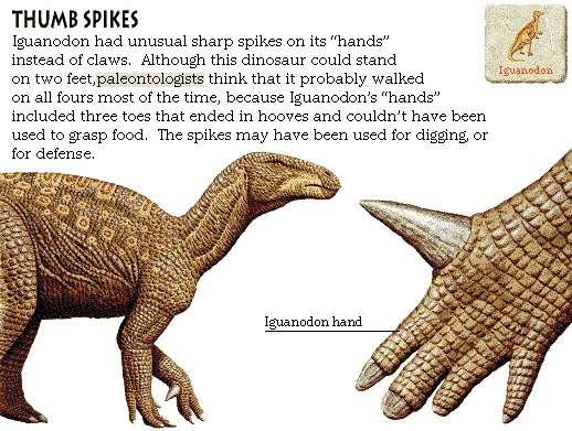 Thumb Spikes