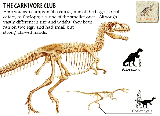 The Carnivore Club