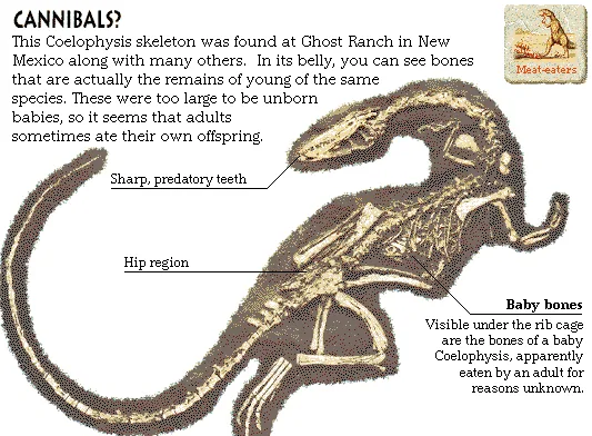 Cannibals?