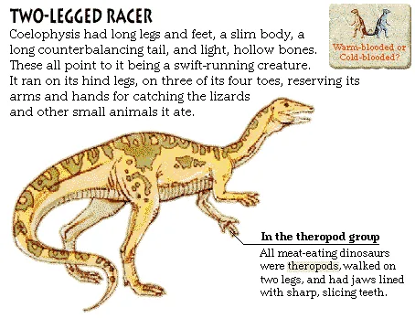 Two-Legged Racer