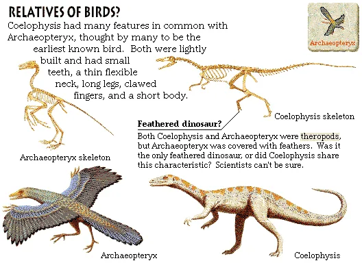 Relatives of Birds?