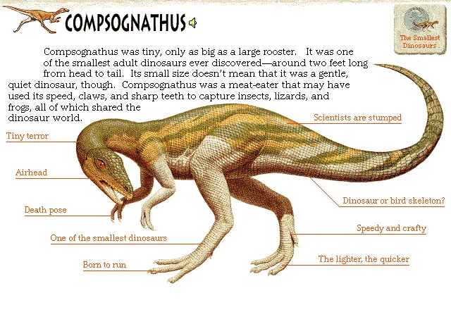 Compsognathus