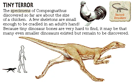 Tiny Terror