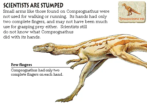 Scientists Are Stumped
