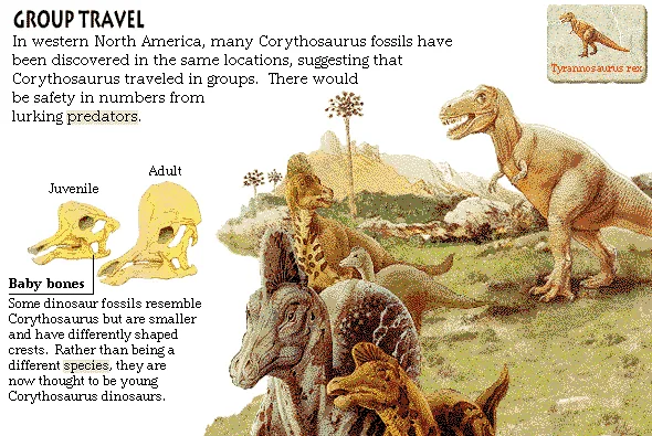 Group Travel