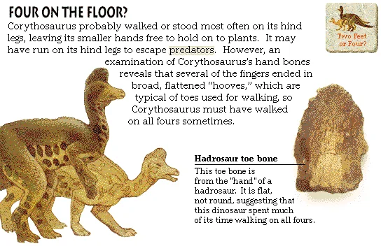 Four on the Floor?