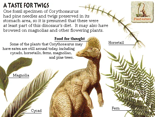 A Taste for Twigs