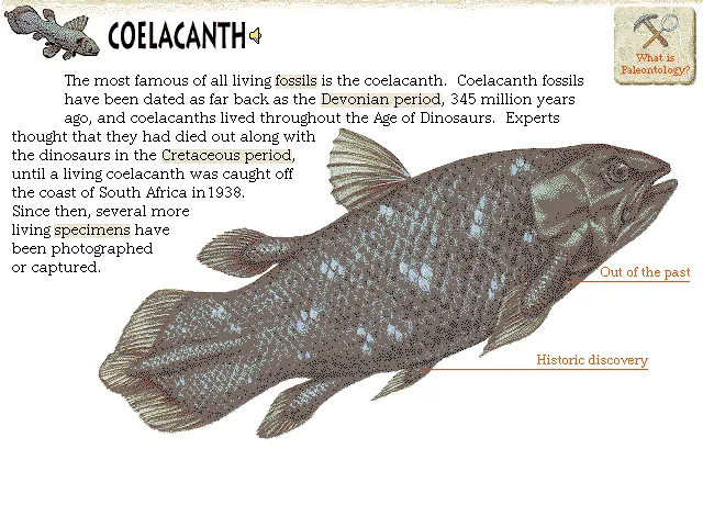 Coelacanth