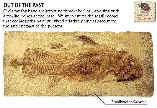 Out of the Past