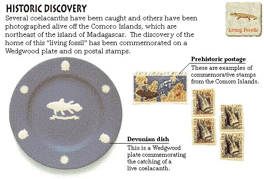 Historic Discovery