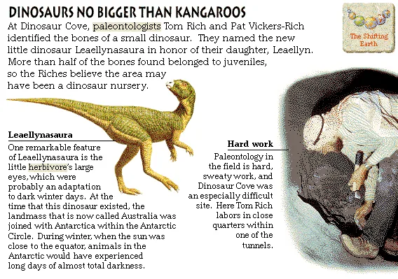 Dinosaurs No Bigger Than Kangaroos