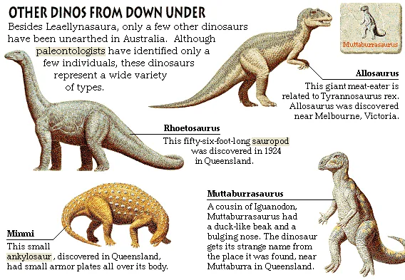 Other Dinos From Down Under