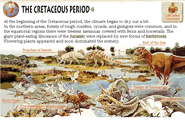 The Cretaceous Period