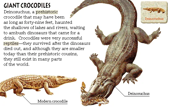 Giant Crocodiles