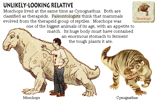 Unlikely-Looking Relative
