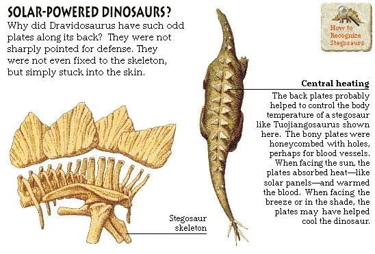 Solar-Powered Dinosaurs?