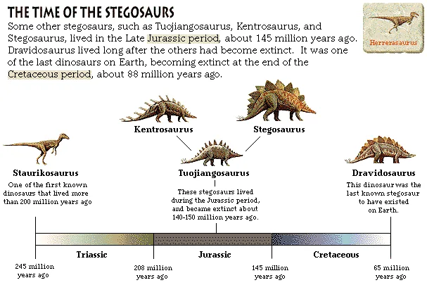 The Time of the Stegosaurs