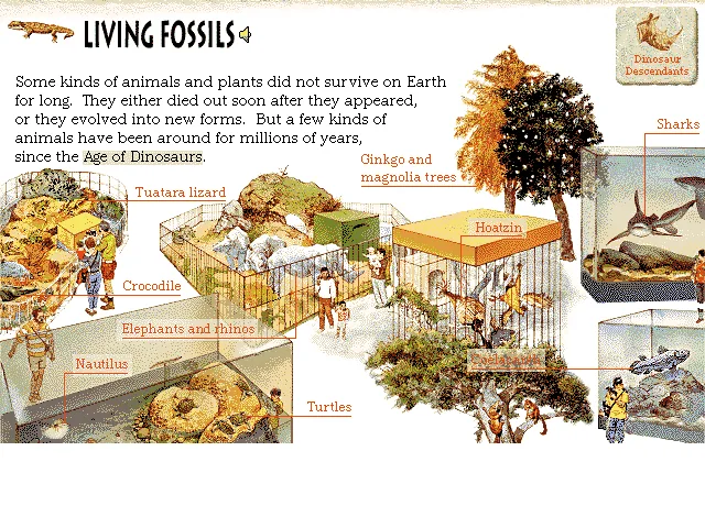 Living Fossils