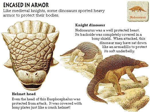 Encased in Armor