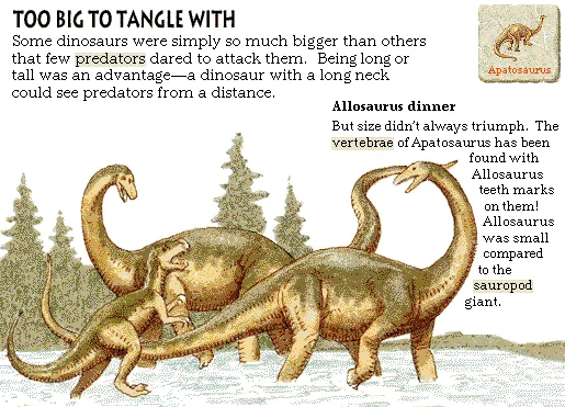 Too Big to Tangle With