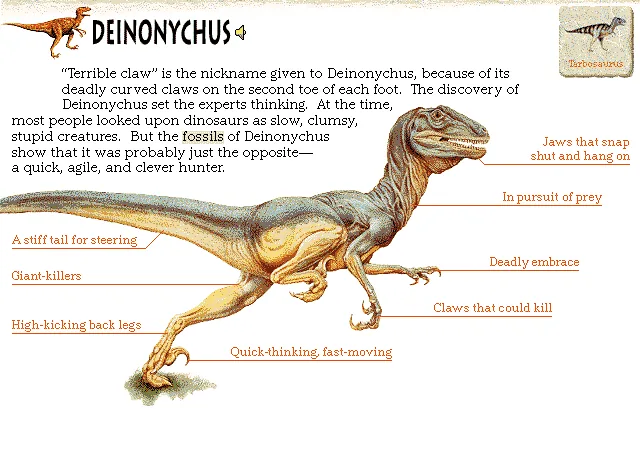 Deinonychus