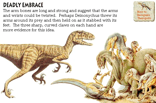 Deadly Embrace