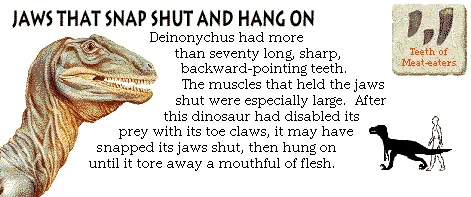 Jaws That Snap Shut and Hang On