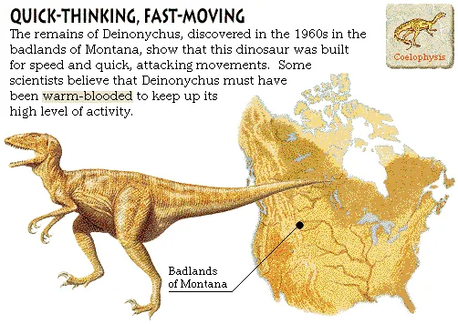 Quick-Thinking, Fast-Moving