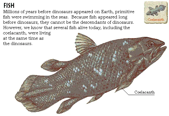 Fish