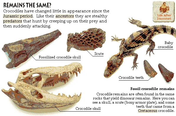 Remains the Same?