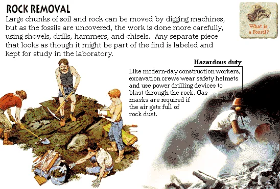 Rock Removal