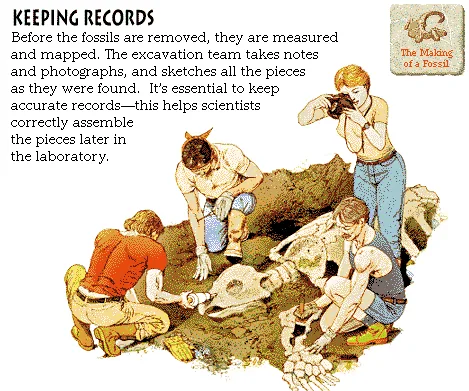 Keeping Records