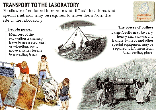 Transport to the Laboratory