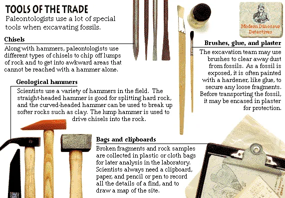 Tools of the Trade