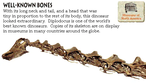 Well-Known Bones