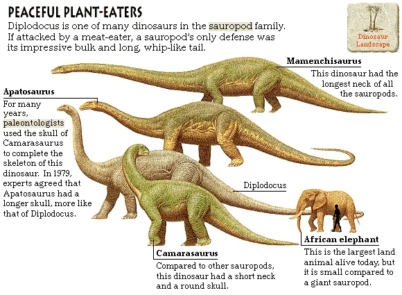 Peaceful Plant-Eaters
