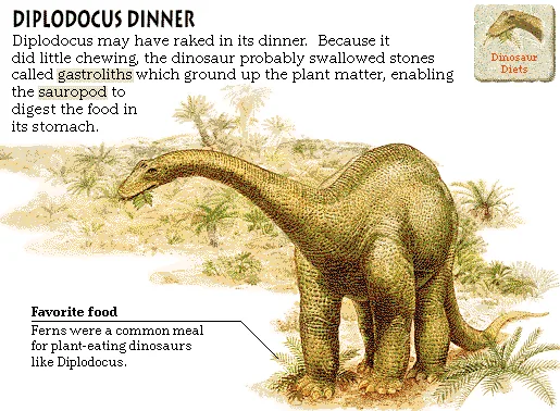 Diplodocus Dinner