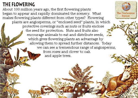 The Flowering