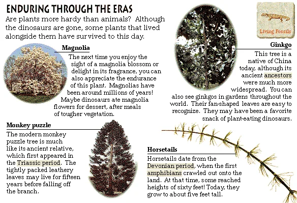 Enduring Through the Eras