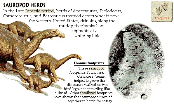 Sauropod Herds