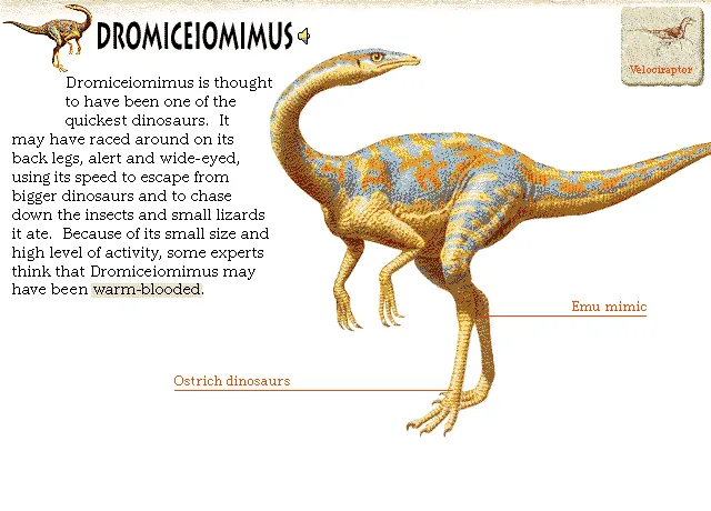 Dromiceiomimus