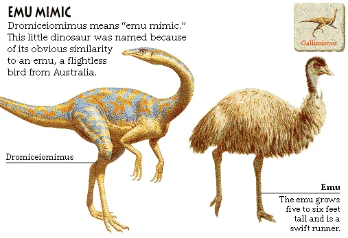 Emu Mimic